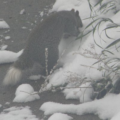 James Ekstrom - Twitter Profile Picture of James Ekstrom (@jrekstra) on Twitter