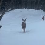 Peter Edward - Facebook Profile Picture of Peter Edward (@Peter-Edward) on Facebook