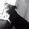 Profile Picture of jasonstocker901 (@@jasonstocker901) on Tiktok
