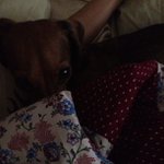 Profile Picture of Margaret Huey (@catteddlene) on Instagram