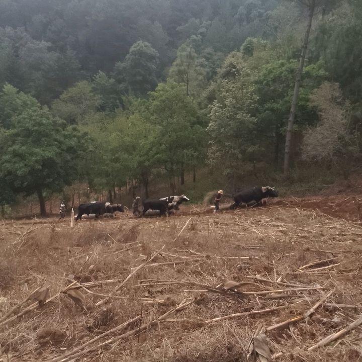 Profile Picture of David (@davidchex1) on Tiktok