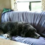 Profile Picture of Lori Wiltberger Ender (@wiltbaby) on Instagram