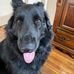 Profile Picture of David Beaulieu (@david.beaulieu.1291) on Facebook