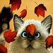 Profile Picture of Marilee Unruh (@marileeunruh) on Pinterest