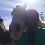 Profile Picture of Cindy Gandarilla (@cindy_michel) on Instagram