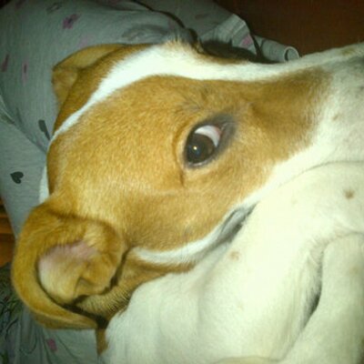 Profile Picture of Stephen Brunt (@SteBrunt) on Twitter