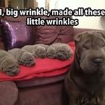 Profile Picture of Steven McGowan (@mcgowanfamily4) on Instagram