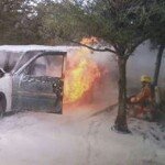 Profile Picture of Brian Nelson (@briannelson42) on Instagram