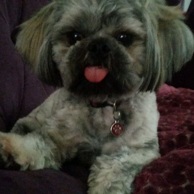 Profile Picture of Adam Stevens (@squadam) on Tiktok