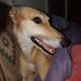 Profile Picture of John mann (@johan8076) on Pinterest