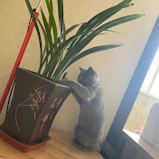 Profile Picture of Rui Ding (@ruiding9131) on Youtube