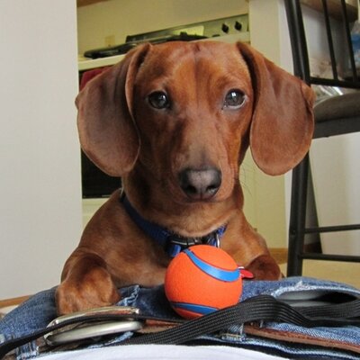 Profile Picture of Jay Keener (@JayKeener) on Twitter