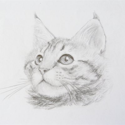 Profile Picture of Marc-André Philibert (@philibert_marc) on Twitter