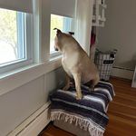 Profile Picture of Sandra (@sandra_huebner) on Instagram