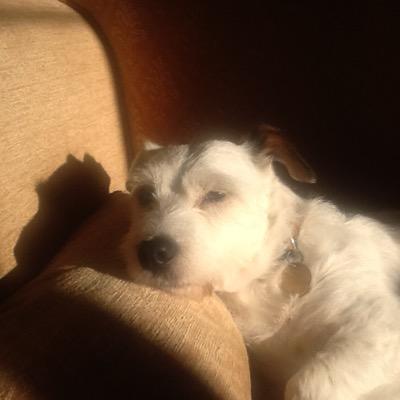 Profile Picture of Gary Sidebottom (@gazza1137) on Twitter