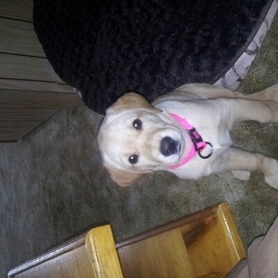 Profile Picture of Chris Sproul (@c_sproul09) on Twitter