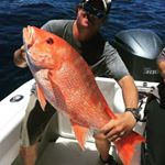 Graham Montgomery - Instagram Profile Picture of Graham Montgomery (@graham.montgomery.94) on Instagram