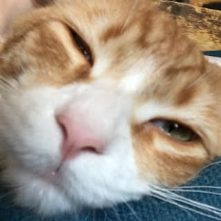 Profile Picture of Leonard pöhl (@leonard_pohl) on Instagram