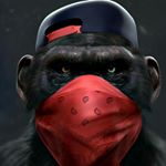 Profile Picture of Max Funk (@mxfnk4) on Instagram