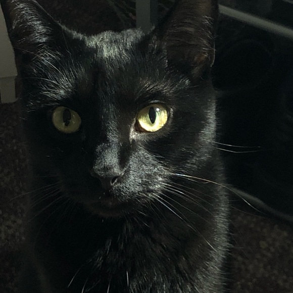 Profile Picture of Sommer Arbogast (@ssmilia) on Poshmark