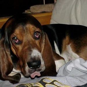 Profile Picture of Mark Witalis (@416694958) on Myspace