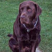 Profile Picture of Jay Simmonds (@jay-simmonds-12) on Quora
