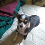 Profile Picture of Daniel Shane Purvis (@purvis.daniel) on Instagram