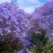 Profile Picture of andrew Thornley (@thorno24) on Pinterest