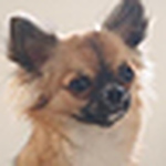 Profile Picture of Teclo Chis (@teclo chis) on Flickr