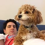 Profile Picture of Joshua Caust-Ellenbogen (@josh_ce) on Instagram