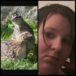 Profile Picture of Wachtelforum Kordula (Anus) (@wachtelforum.kordula) on Instagram