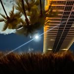 Profile Picture of Michael Murch (@murchroomfarms_) on Instagram