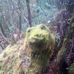 Profile Picture of John Wilkinson (@john.wilkinson.3956) on Facebook