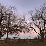 Profile Picture of Shelby Catherine Frank (@shelbycfrank) on Instagram