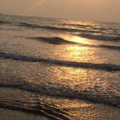 Profile Picture of 𝙋𝙤𝙤𝙟𝙖 𝙋𝙖𝙣𝙙𝙚𝙮 (@Prescottasia) on Twitter