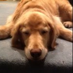 Profile Picture of kennethgeller (@kennethgeller) on Instagram