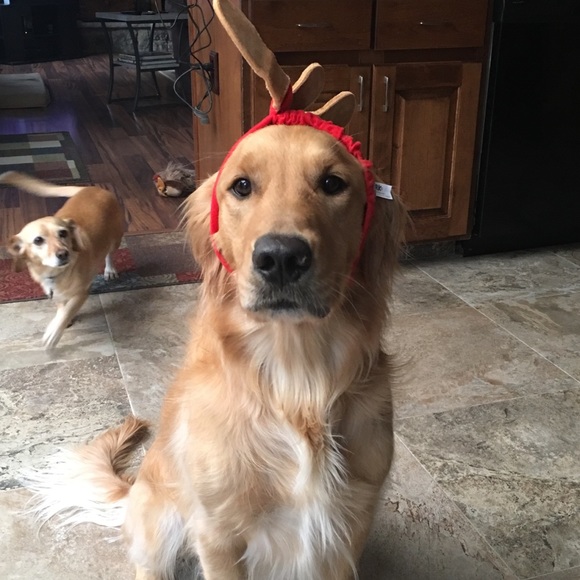 Profile Picture of Amanda Thoe (@amandatimone) on Poshmark