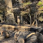 Profile Picture of Holden Paul (@Holden-Paul) on Facebook