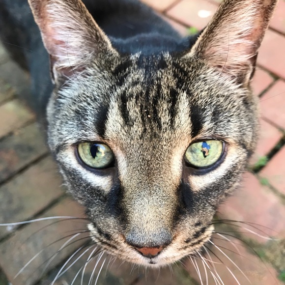 Hollie Chessman - Poshmark Profile Picture of Hollie Chessman (@hchessms) on Poshmark