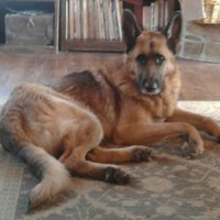 Profile Picture of Christian Harmon- Hodge (@christian-harmon-hodge) on Quora