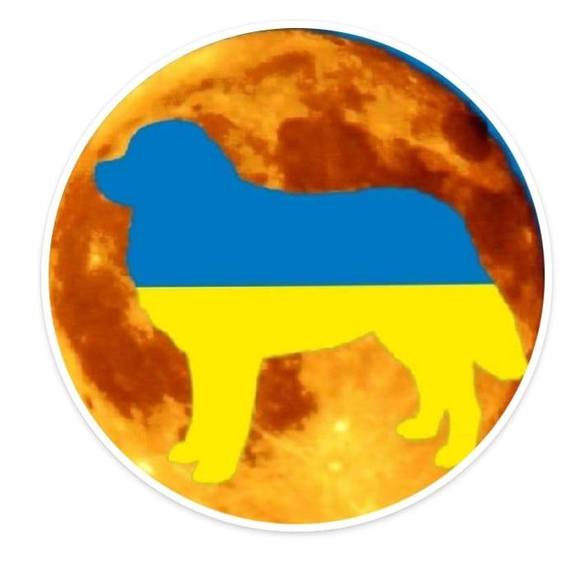 Rita Podgorski roadfeldt - Poshmark Profile Picture of Rita Podgorski roadfeldt (@rmr354) on Poshmark