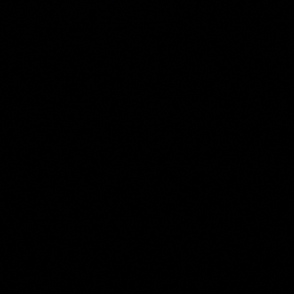 Profile Picture of Lacy Fields (@lacyfields80) on Poshmark