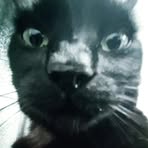 Profile Picture of Alex Basford (@Alex-Basford) on Facebook