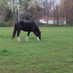 Profile Picture of Alex Vanderzanden (@Alex-Vanderzanden) on Facebook