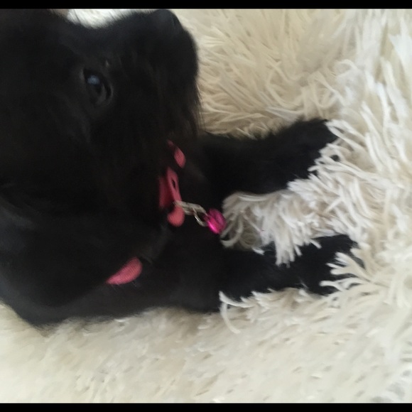 Profile Picture of Carmen Vasquez (@boricua1969) on Poshmark