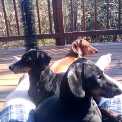Profile Picture of Matt Greeson (@BuffetPantsMatt) on Twitter