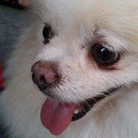 Profile Picture of Mike Mai (@mike-mai-15) on Quora