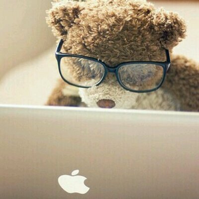 Profile Picture of #BobDaBoss (@@BobDaBoss4) on Twitter