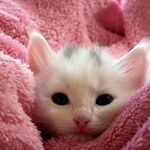 Profile Picture of Sheree Adams (@x.jackpot.x93) on Instagram