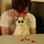 Profile Picture of Jean-Luc Nugent (@xshiranami) on Instagram